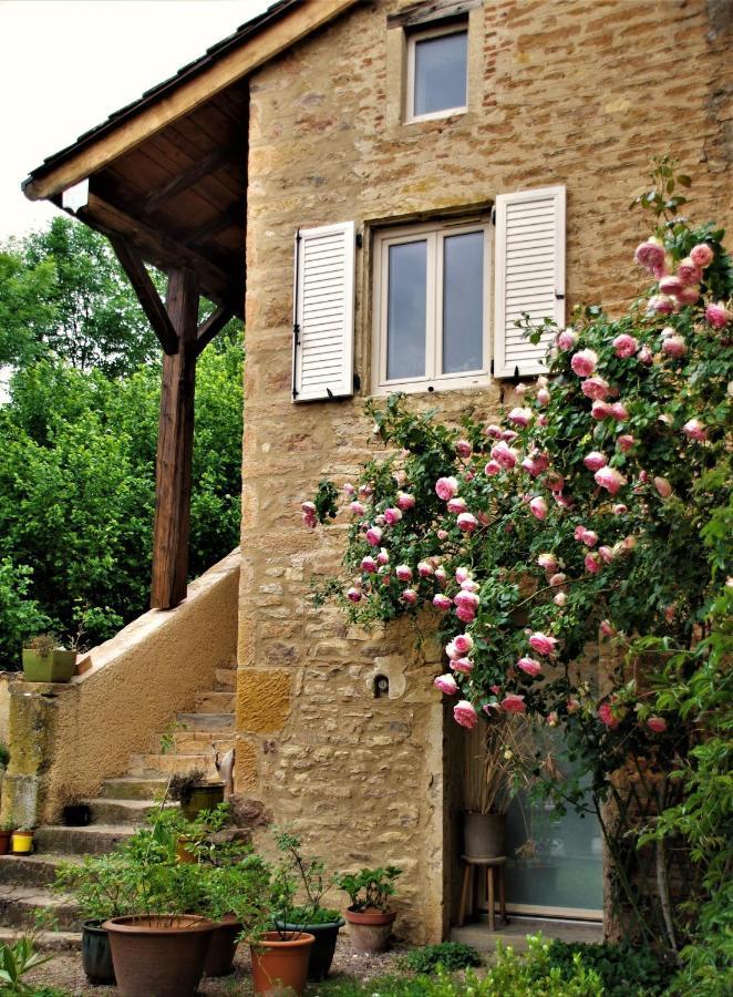 Le Vieux Pont Saint-Julien (Rhone) Exterior foto
